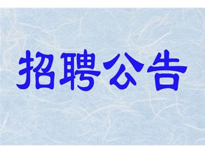 聊城市三實人力資源服務有限公司招聘社會化工作者公告